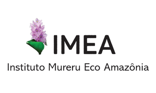 logo imea